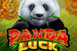 Panda Luck - HASEAGAMING