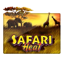 Joker123 : Safari Heat - HASEAGAMING