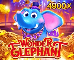 Wonder Elephant - HASEAGAMING