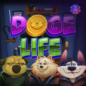 Doge Life - HASEAGAMING