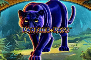 Panther Pays - HASEAGAMING