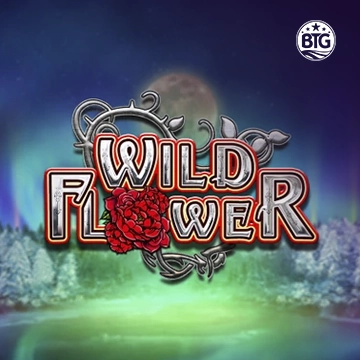 Bigtime : Wild Flower - HASEAGAMING