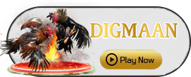 Digman - HASEAGAMING