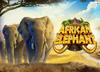 Pragmatic : African Elephant - HASEAGAMING